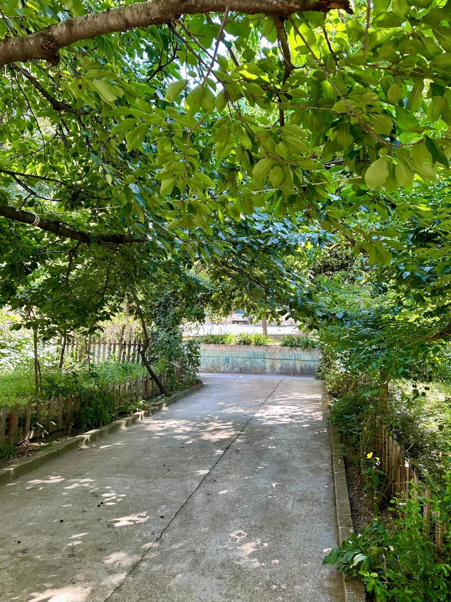 Jea House Daire Pogradaş Dış mekan fotoğraf